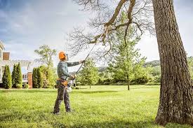 Best Organic Lawn Care Solutions  in Enterprise, AL